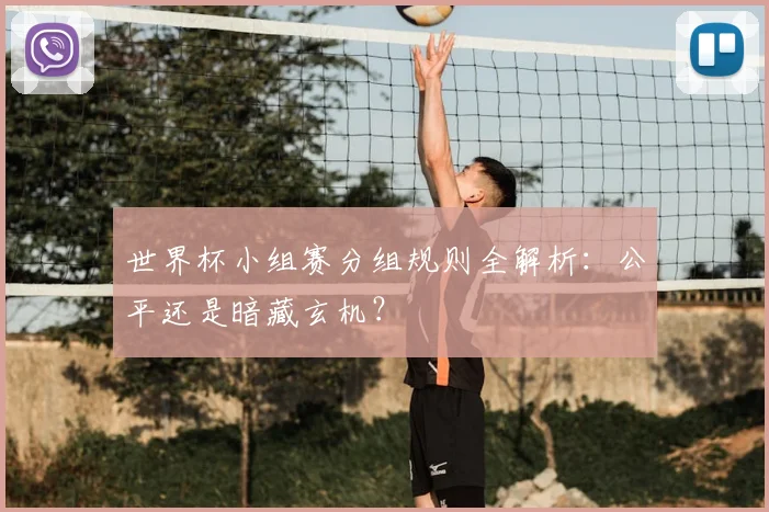 世界杯小组赛分组规则全解析：公平还是暗藏玄机？