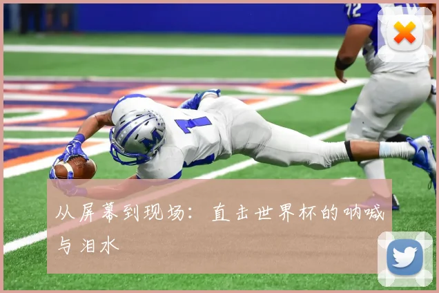 从屏幕到现场：直击世界杯的呐喊与泪水