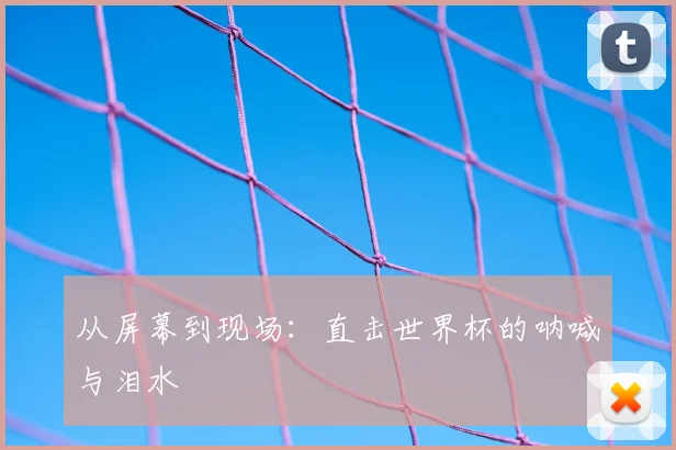 从屏幕到现场：直击世界杯的呐喊与泪水