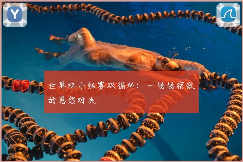 世界杯小组赛双循环：一场场宿敌的恩怨对决