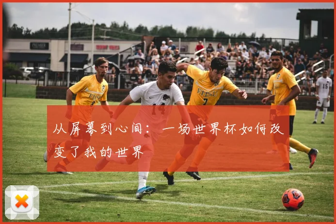 从屏幕到心间：一场世界杯如何改变了我的世界